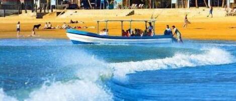 Accommodatie ligt op het strand, strandlakens