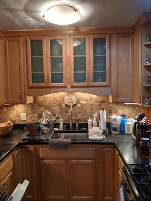 Kühlschrank, Ofen, Herdplatte, Geschirrspüler