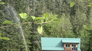A cabin with a green roof, a dock, and a chair by the water. - 6 BDRM Log Cabin on Big Fall Creek (Fall Creek)