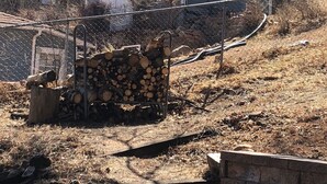 Une maison avec une porte rouge, une pile de bois de chauffage et un mur en pierre.