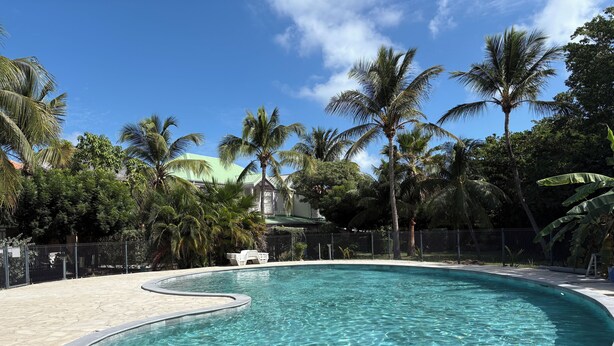 A clear, curved swimming pool surrounded by palm trees and a fence, with a house in the background. - Maison 90 m2 Pour 4 Personnes Avec Piscine Collective (Orient baie)