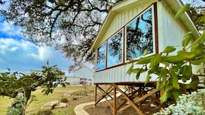 A wooden cabin with large windows, surrounded by trees and a grassy area. - THE JACK: A Beautiful Treehouse Suite overlooking the Texas Hill Country (Dripping Springs)