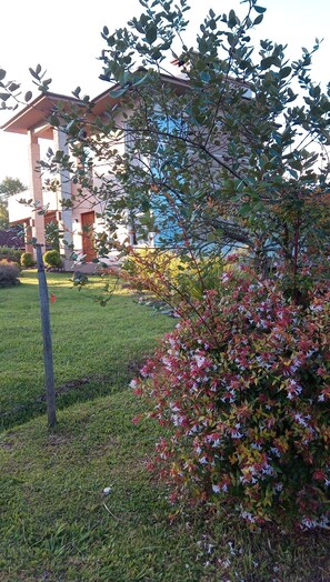 Área da propriedade