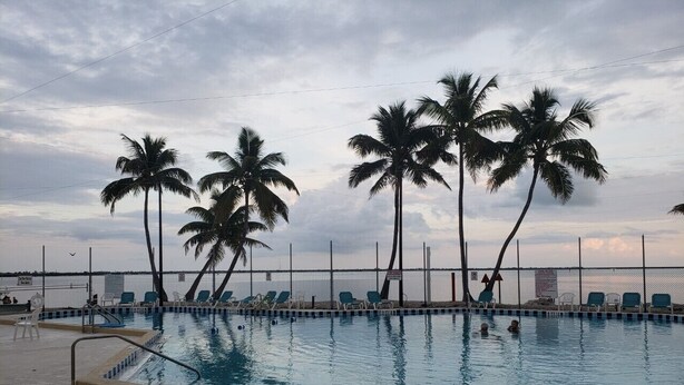 A swimming pool with palm trees, lounge chairs, and a view of the sea. - Lower Keys paradise (Cudjoe Key)