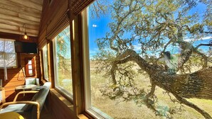 Ein Holzinnenraum mit einem großen Fenster, das auf einen Baum und einen klaren Himmel blickt.