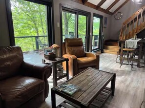 Smart TV, fireplace, DVD player, books