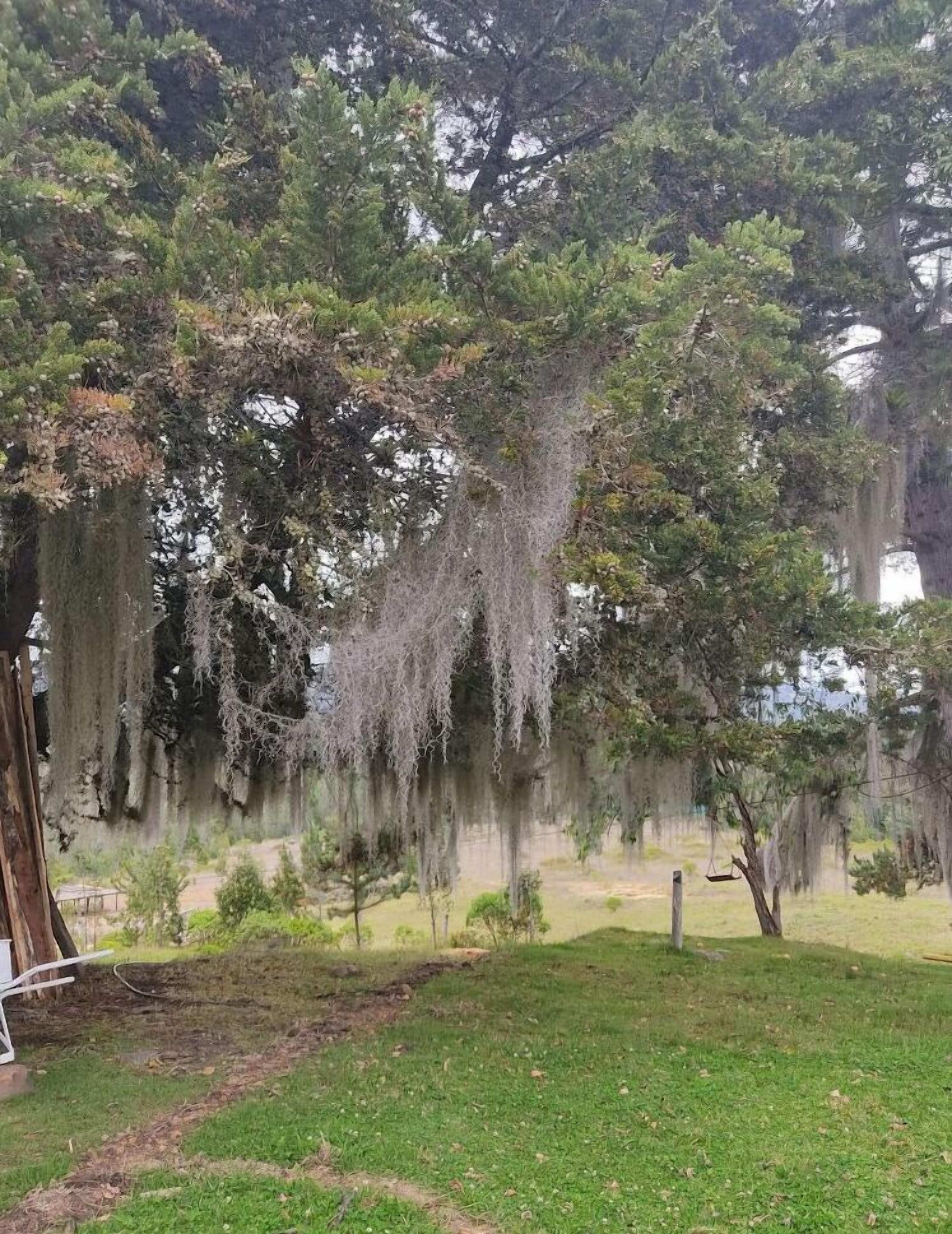 Área da propriedade