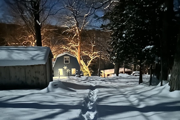 View from driveway during winter