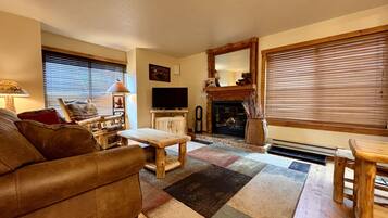 Smart TV, fireplace, books