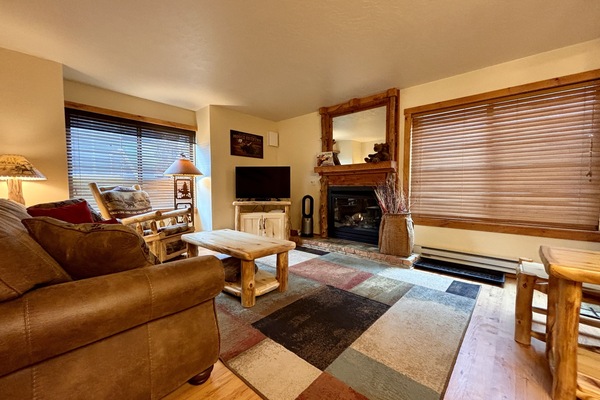 Smart TV, fireplace, books
