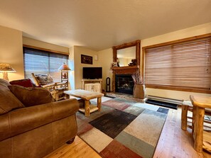 Smart TV, fireplace, books