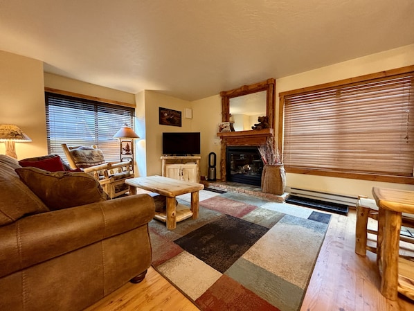 Smart TV, fireplace, books