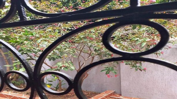 Une cour avec un sol carrelé, une rambarde en métal et une plante aux fleurs rouges.