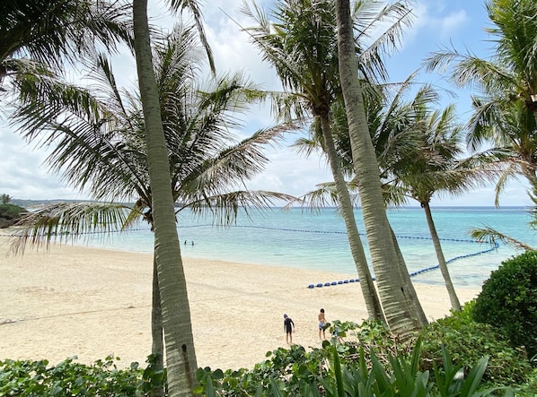 A beach with palm trees, clear blue water, and a sandy shore.