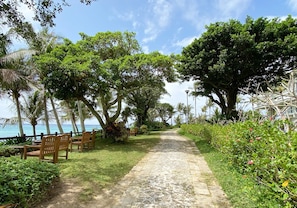 A pathway lined with wooden benches and lush greenery, leading towards a body of water.