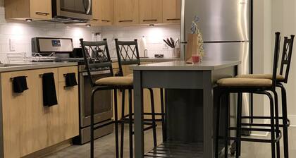 LUXURIOUS SPACIOUS PLACE NEAR TRUIST PARK!!