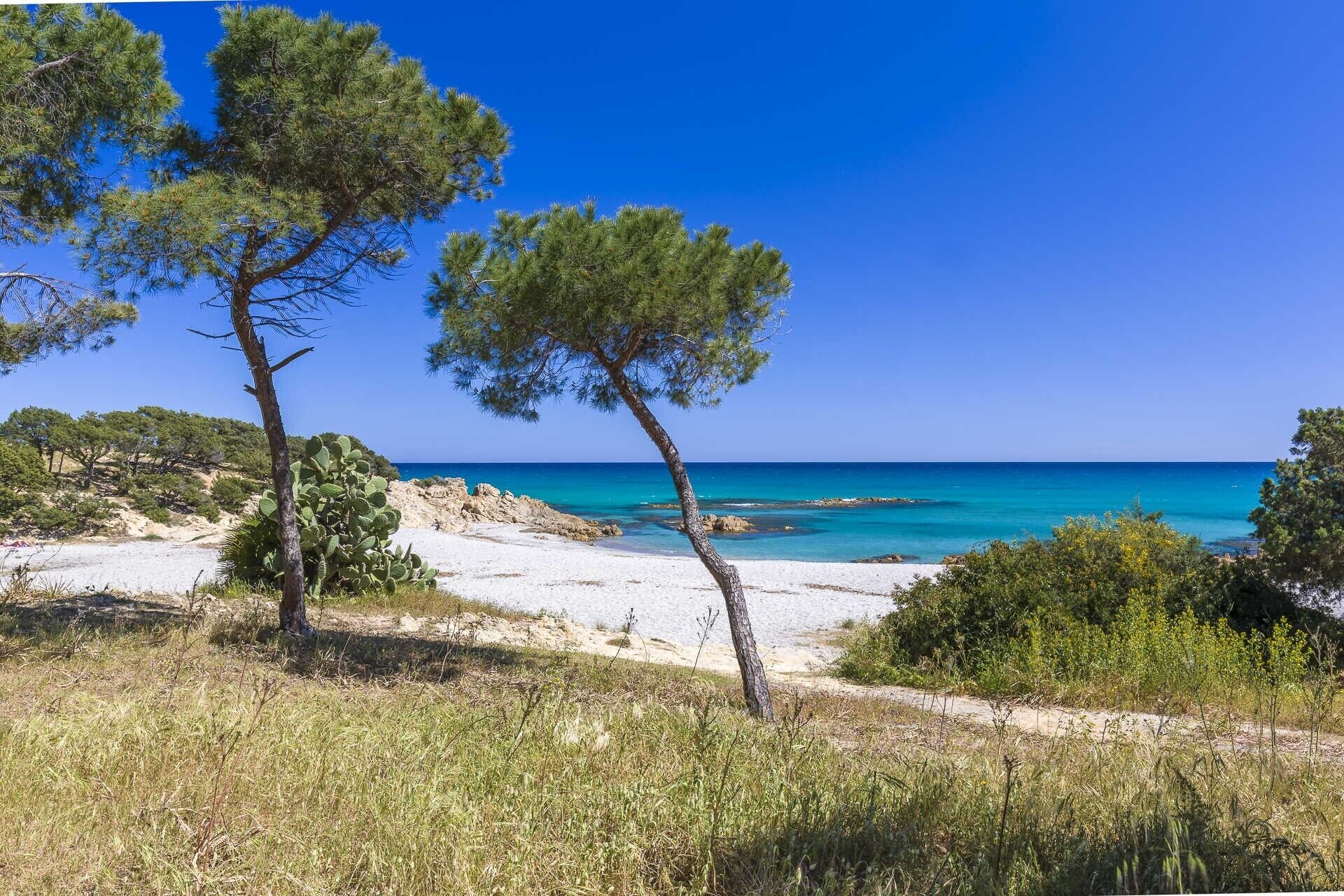 Plage à proximité