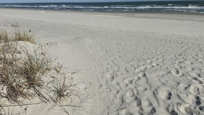 Una playa arenosa con huellas y vegetación escasa.