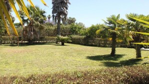 A well-maintained garden with various palm trees and shrubs.