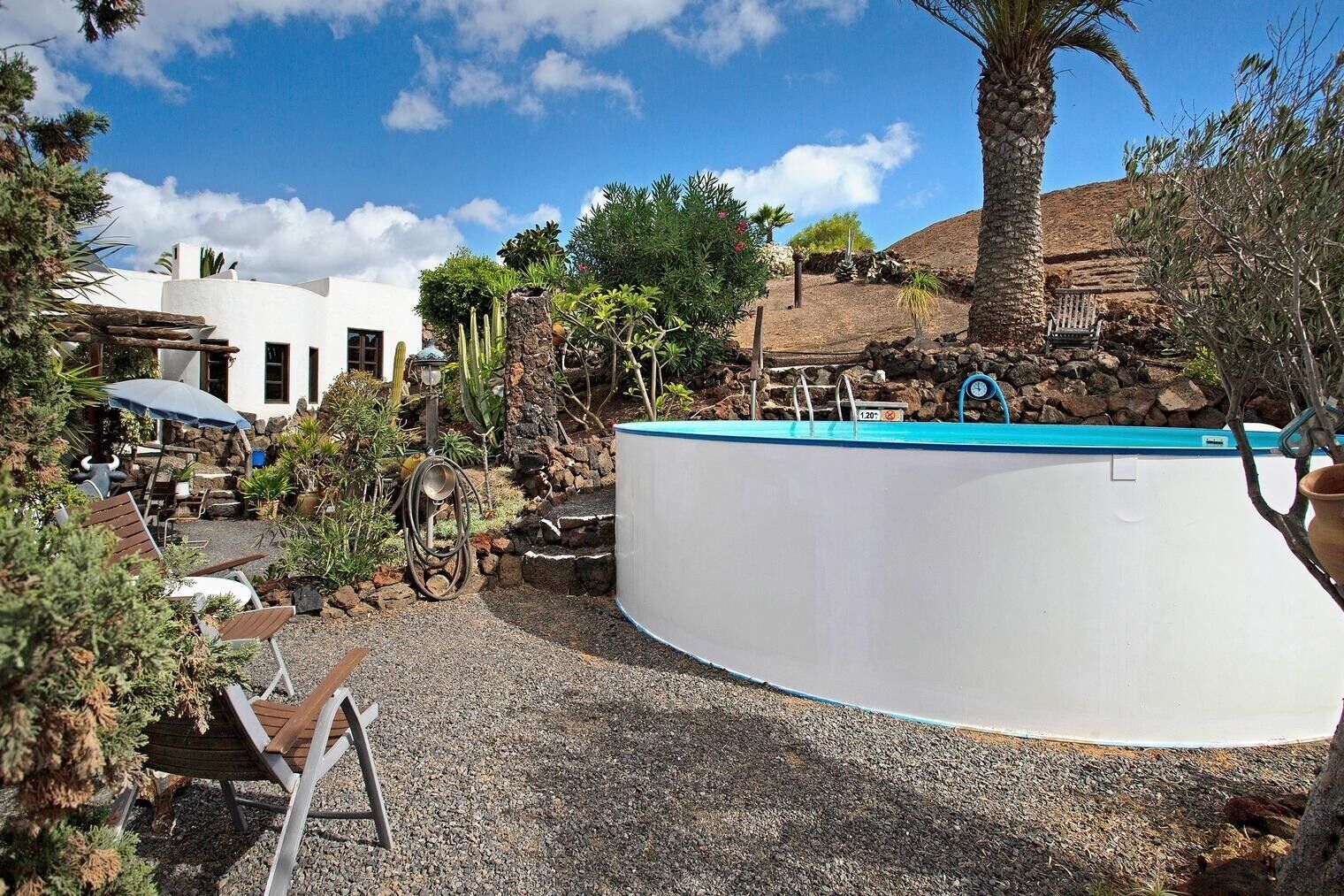 Una piscina con borde azul, rodeada de un jardín con diversas plantas y un edificio blanco al fondo.
