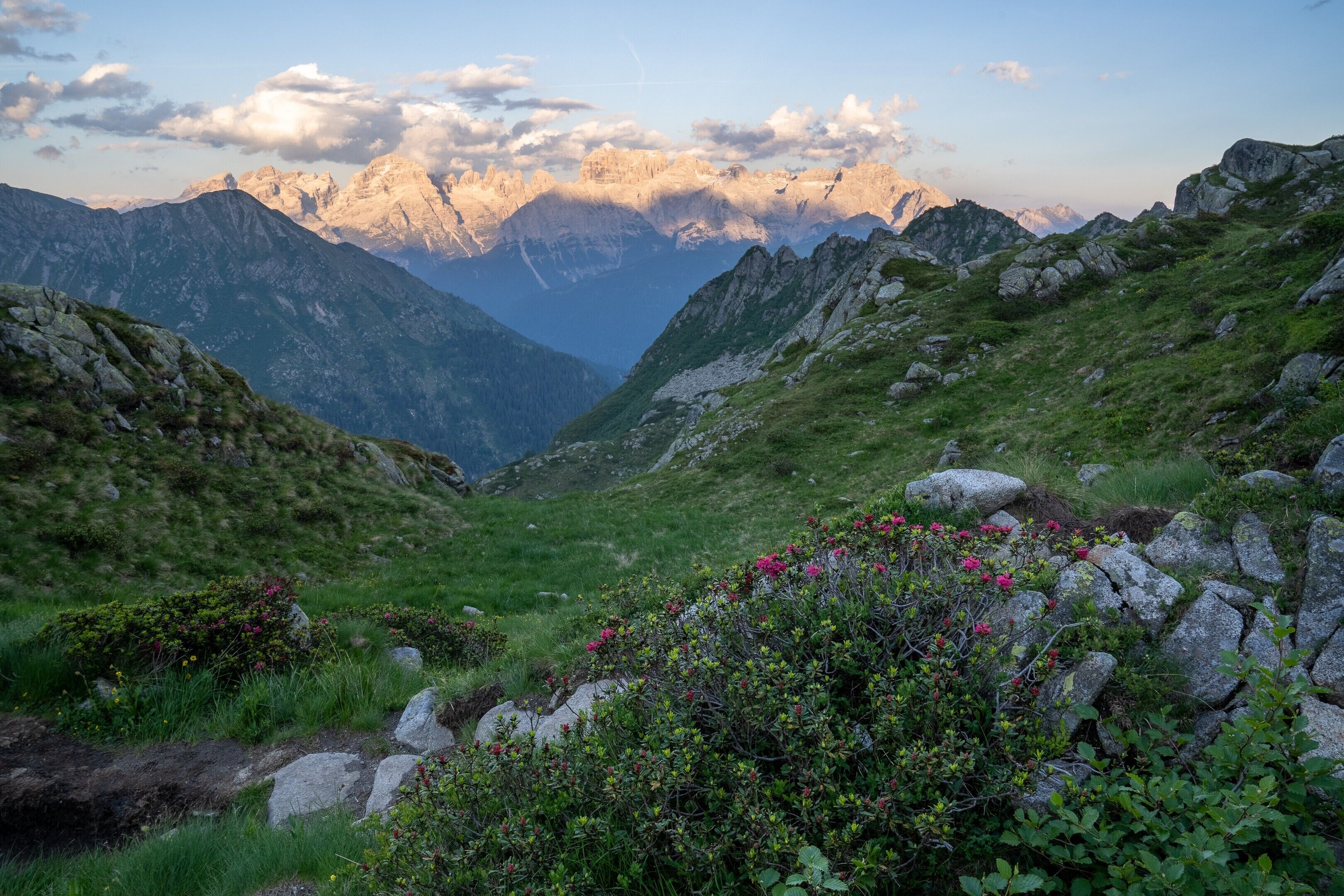 Un paysage montagneux caractérisé par un terrain rocheux et une végétation luxuriante.