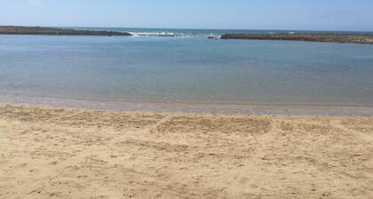 La Grande PropriĂ©tĂ© Ătoile De Mer