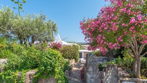 A garden pathway with greenery and large rocks, leading to a white building with a dome structure.