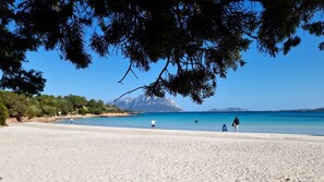 A beach with clear water, a distant mountain, and trees framing the view. - Villa LUNA ROSSA with Sea View, Pool, A/C, Wi-Fi, Garden, Terrace & Balcony (san teodoro)