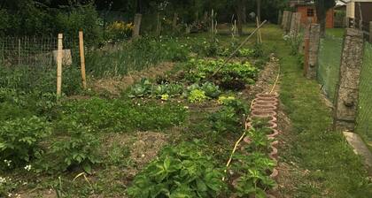 Schöne Ferienwohnung am Fuße des Fichtelgebirges