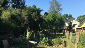 Una terraza de madera en un jardín con diversas plantas y una valla.