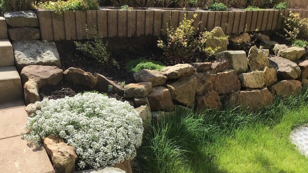 A garden with a stone retaining wall, a circular white flower bed, and green grass. - Vacation apartment Hellerswiesen - Fewo Hellerswiesen (Bahretal)