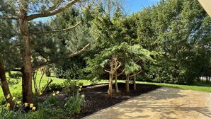 Ein gepflasterter Weg führt zu einer überdachten Fläche mit Bäumen und einem Garten mit gelben Blumen.