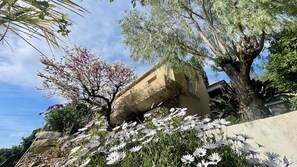 Property grounds - Villa 8 Pers, vue Mer, Centre-ville, Quartier du Paradis, au Calme (Hyères)