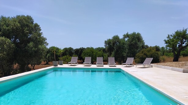 En rektangulär pool med klart, blått vatten, omgiven av ett vitt poolområde. Sex solstolar är placerade längs poolens kant. Poolområdet avgränsas av en låg mur, och i bakgrunden syns en mängd olika träd och buskar.