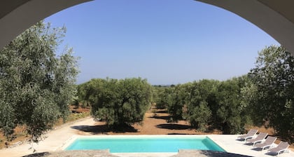 Stunning Distant sea views, Immersed in olive trees with PRIVATE POOL built 2021