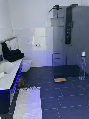 Douche, séchoir à cheveux, serviettes fournies