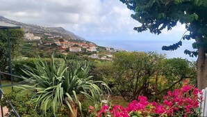 Un jardín con diversas plantas y flores, vista de una localidad costera y cielo despejado.
