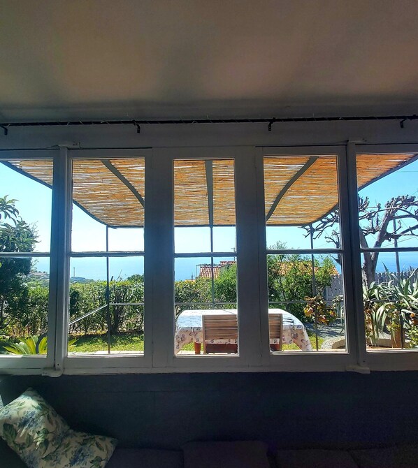 A room with a large window overlooking a vineyard and a clear sky.