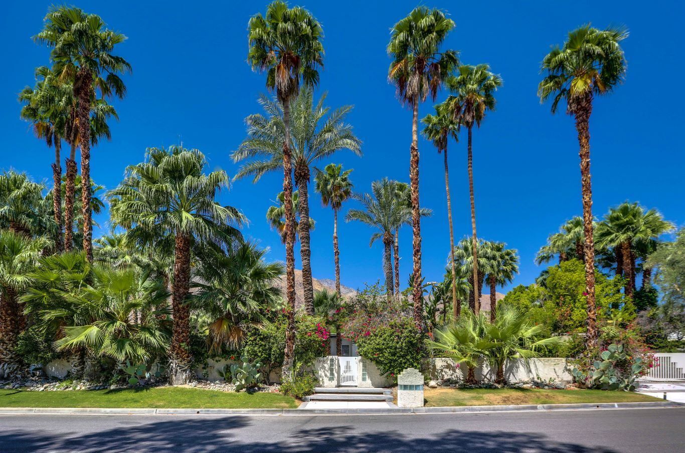 A street lined with tall palm trees and a building with a stone facade.