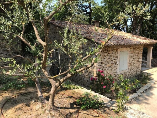 Un bâtiment en pierre, surmonté d’un toit de tuiles, entouré d’oliviers et de plantes en fleurs.