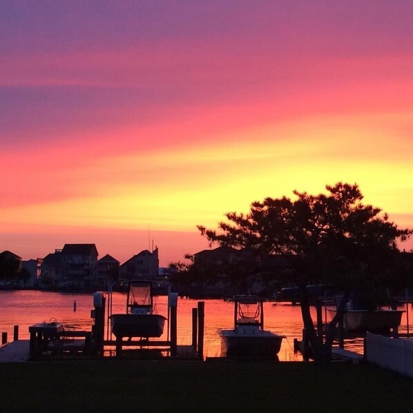A sunset view with a dock, boats, and a tree.