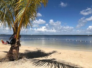En strandscene med palmetræ, klar himmel og roligt hav.