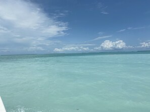 Beach nearby, sun-loungers - Waterfront paradise with private community beach within walking distance. (Key Largo)