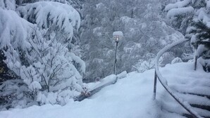Paesaggio innevato con un sentiero ricoperto di neve, alberi e un lampione.
