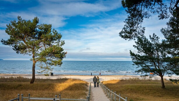 Un sentier menant à une plage, bordé d’une rambarde en métal, d’arbres et offrant une vue dégagée sur la mer.