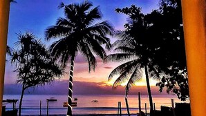 A beach scene with palm trees and a sunset. - B&B Ayla Beach House (Zanzibar Kiwengwa)