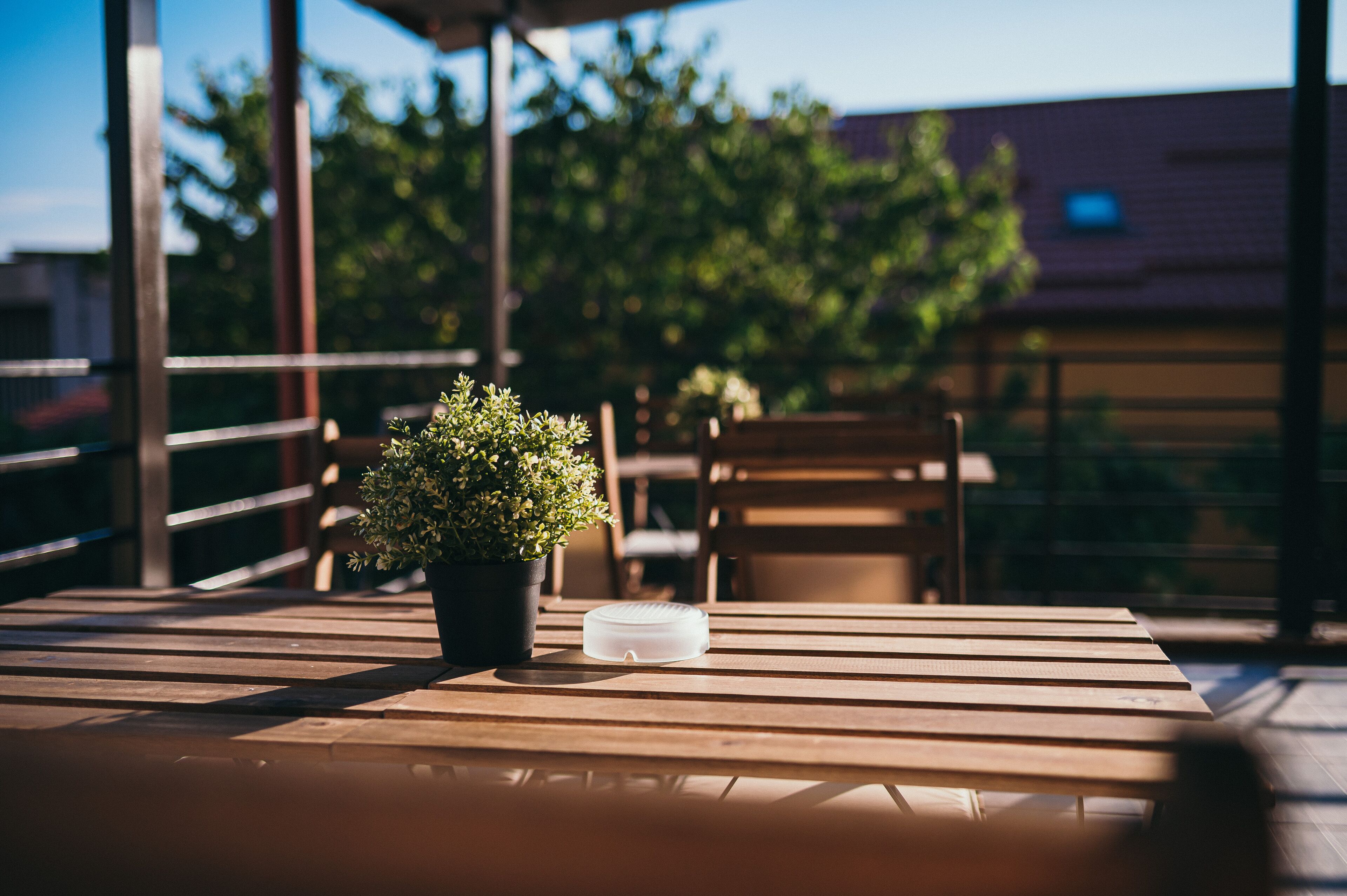 Una mesa de madera con una planta en maceta y un recipiente de plástico transparente en un balcón con baranda, con vistas a un edificio y árboles.