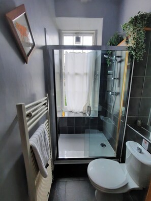 Combined shower/bathtub, hair dryer, towels