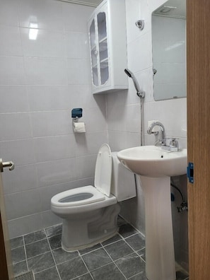 Ducha, artículos de tocador gratuitos, secador de pelo, pantuflas