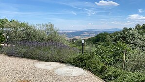A gravel path with circular manhole covers, surrounded by dense greenery and lavender flowers. - Podere Belsogno-apartment rose garden (Montalcino)